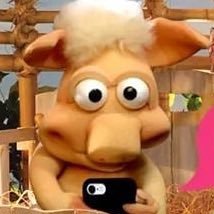 caio's profile picture
