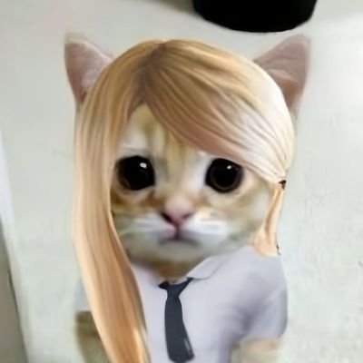 jesh (rest)'s profile picture