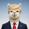 达芬奇 profil fotoğrafı