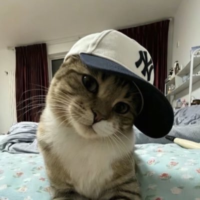 Aoro's profile picture
