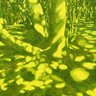 Фото профиля neets