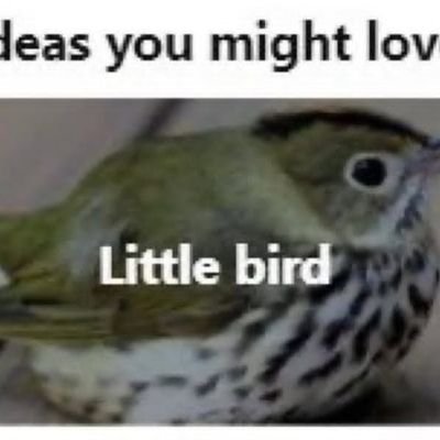 alzbtw's profile picture