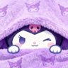 Profilbild von Kuromi 🤍🌻 🫧 🐶 🐰 🤍