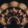 Crackyflipside profil fotoğrafı