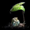 Profilbild von El caracol invisible.