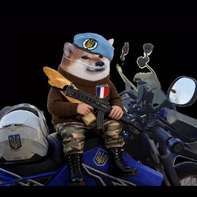 InZeucloud's profile picture