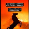 Çılgın Ruh ile Yaşamak Güzeldir profil fotoğrafı
