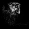 🇮🇶♕jabal ahad♕🇮🇶's profile picture
