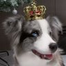Фото профиля みやっさん
