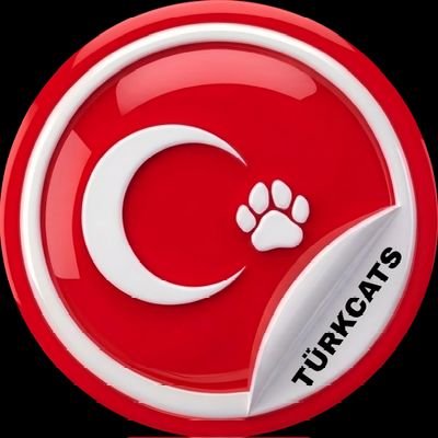 turkcats's profile picture