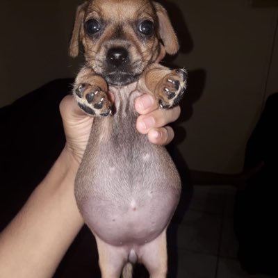 celo's profile picture