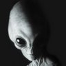 Фото профиля Michael Mansfield