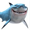 Shark's profile picture