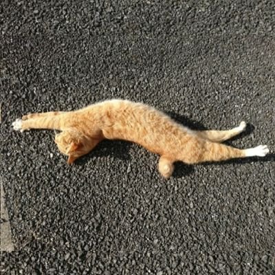 MYFEB5TH's profile picture