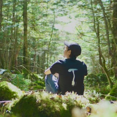 ただのきのこ好き's profile picture