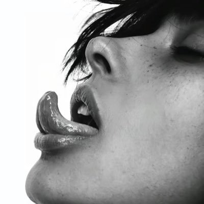 食肉动物(互推私信)'s profile picture