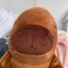 Furkan's profile picture