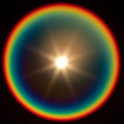eatyourknees's profile picture
