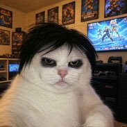 𝐋𝐚 𝐩𝐥𝐮𝐢𝐞's profile picture