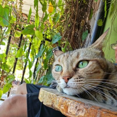 otoño 🍁 🇬🇹🤘🏼🎸🎵🛁🕯️'s profile picture
