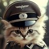 Фото профиля Swastikitty