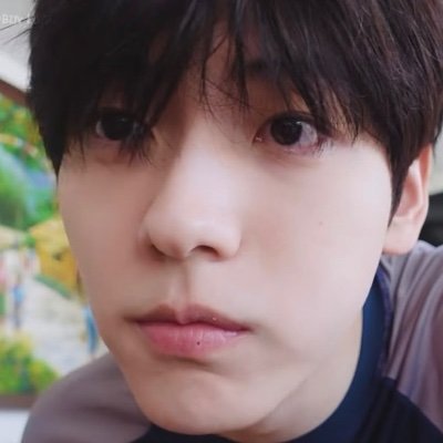 mel(ancholy) exam season's profile picture