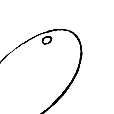gigigifish's profile picture