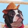 Clint Eastwoof profil fotoğrafı