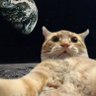 Asteroid Destroyer's profile picture