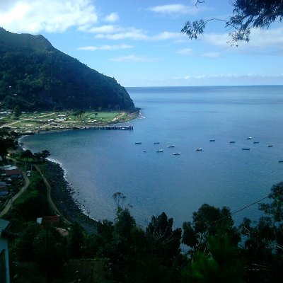 El más zurdo de todos. Nefasto. Sí o sí fuera.'s profile picture