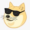 doge profil fotoğrafı