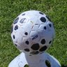 LilyBall profil fotoğrafı