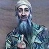 Narco Bin Laden profil fotoğrafı