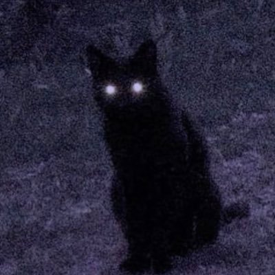 laaljhandaaa's profile picture