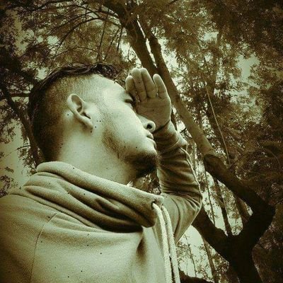 ArmandoGuerra's profile picture