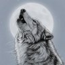 Profilbild von Lonewolf