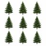 Nine trees profil fotoğrafı