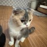 Hug profil fotoğrafı