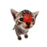 Vnzzin 289's profile picture