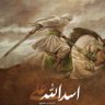 Seyfullah Rabbanî profil fotoğrafı