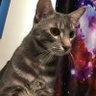 tuna's profile picture