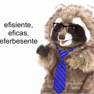 Alejandro's profile picture