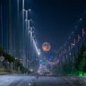 Фото профиля يزيد الرومي