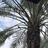 Фото профиля وعد المطيري ⁺⊹ Waad Almutiari