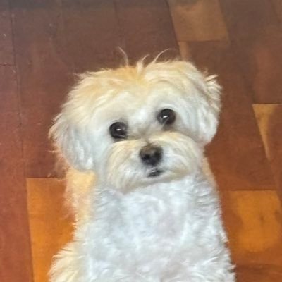 jae2so's profile picture