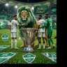ابو نادر's profile picture