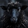 BLACK SHEEP's profile picture