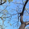 Фото профиля Progress-means-a-lot