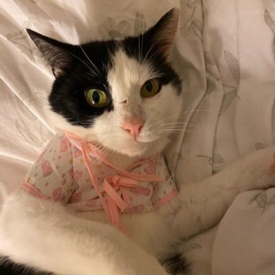m4rlowe_'s profile picture