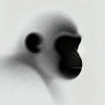 Profilbild von 8